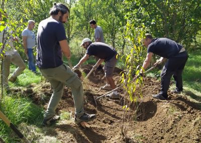 Les membres de l'association plantent un arbres sur une butte de permaculture.