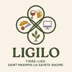 logo ligilo
