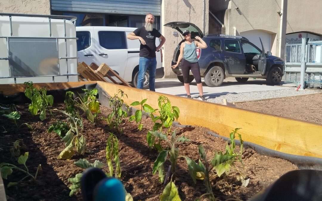 Végétalisation de la Fabrikabul&rsquo;